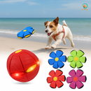 Bola Disco Voador 2 em 1 para Pets
