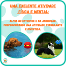 Bola Disco Voador 2 em 1 para Pets
