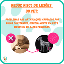 Escadinha Três Andares Com Almofada Para Pet