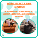 Escadinha Três Andares Com Almofada Para Pet